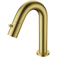 Boss & Wessing BWS Fonteinkraan Colorato 19.5cm Geborsteld Goud