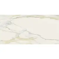 Douglas & Jones Vloertegel magnum 60x120 cm marmerlook gerectificeerd 6 mm geglazuurd cal gold