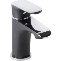 Boss & Wessing Bws wastafelmengkraan marta eenhendel laag zwart chroom 15 cm