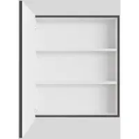 Boss & Wessing Spiegelkast bws cube 60x70x16 cm 1 deur antraciet met mat wit