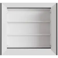 Boss & Wessing Spiegelkast bws cube 80x70x16 cm 2 deuren antraciet met mat wit