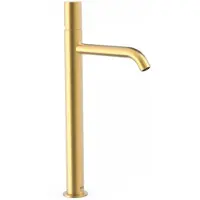 Tres Wastafelmengkraan study exclusive 40,5 cm 1-knop rond mat goud