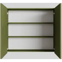 Boss & Wessing Spiegelkast bws cube 80x70x16 cm 2 deuren groen