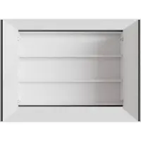 Boss & Wessing Spiegelkast bws cube 100x70x16 cm 2 deuren antraciet met mat wit