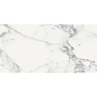 Douglas & Jones Vloertegel magnum 60x120 cm marmerlook gerectificeerd 6 mm geglazuurd blanc