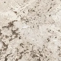 Douglas & Jones Vloertegel magnum 120x120 cm marmerlook gerectificeerd 6 mm gepolijst glacier
