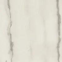 Douglas & Jones Vloertegel magnum 120x120 cm marmerlook gerectificeerd 6 mm geglazuurd white fantasy