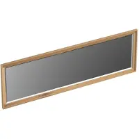 Forzalaqua Spiegel Reno 160x2x50 Cm Eiken Smoke