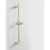 Boss & Wessing Glijstang bws plus 60 cm mat goud