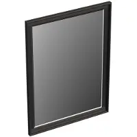Forzalaqua Spiegel Reno 59.5x2x80 Cm Eiken Black Oiled