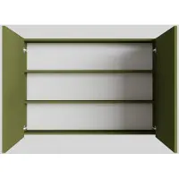 Boss & Wessing Spiegelkast bws cube 100x70x16 cm 2 deuren groen