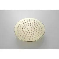 Boss & Wessing Hoofddouche bws vision rond 20 cm mat goud