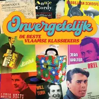 Source1 Various Artists - Onvergetelijk (De Beste Vlaamse Klassiekers) (CD)
