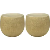 Ter Steege Plantenpot - Set van 2x stuks - moderne look - beige - 15 x 13 cm - bloempot
