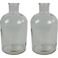 Countryfield bloemen/takken Vaas - 2x stuks - helder glas - fles - D17 x H31 cm
