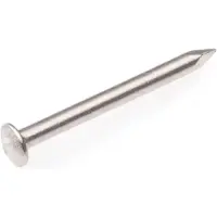 Homefix Draadnagel Rvs-A2 Bb 1.6X25 | 200 gram - 6702.40.50020