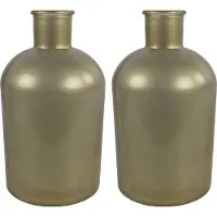 Countryfield bloemen/takken Vaas - 2x Stuks - mat goud glas - fles - D17 x H31 cm