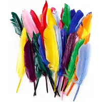 DIY - Feathers 17-20 cm (250 pcs) (51675)