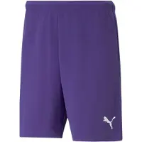 Puma Sportbroek 'TeamRise' donkerlila / wit
