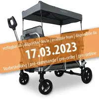 FUXTEC Bolderkar FX-CTXL900 - grijs - nu voor maximaal 4 kinderen
