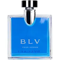 Bvlgari Herengeuren Pour Homme BlvEau de Toilette Spray