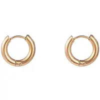 Go Dutch Label Oorringen plain Goud