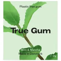 True Gum 24x Mint 21 Gr