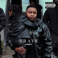 Pias Landy - Brave (CD)