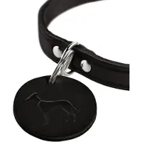Hunter Pet Aalborg Hondenhalsband