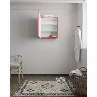 Mondiaz Cubb spiegelkast 60x70x16cm fire met 1 deur