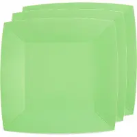 SANTEX 30x Stuks feest diner bordjes papier/karton vierkant - mint groen - 23cm - Feestbordjes