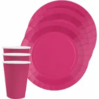 SANTEX feest/verjaardag servies set - 10x gebaksbordjes en bekertjes - fuchsia roze - karton