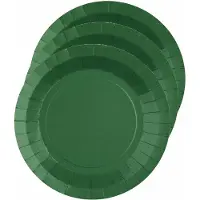 SANTEX feest bordjes rond donkergroen - karton - 20x stuks - 22 cm - Feestbordjes