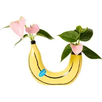 Lund-Stougaard Banane