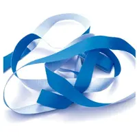 Bestway Bottom Long Belt voor Steel Pro en Deluxe Splash Frame Zwembad