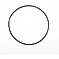 Bestway Tank O-ring voor 1000gal Zandfilter
