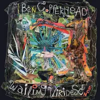 Konkurrent Ben Copperhead - Wailing Viridescence (LP)