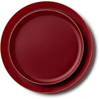 Decorline -20 Premium herbruikbaar kunstof feestservies set - Burgundy met gouden rand-Edge Collectie.