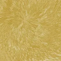 Coast2Coast Pjev, Kit Downes & Hayden Chisholm - Medna Roso (CD)