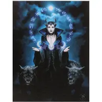 Something Different Anne Stokes - Moon Witch - Canvas afbeelding