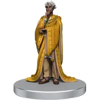 Wizkids Critical Role: NPC's van Wildemount
