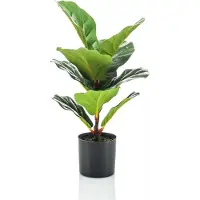 Woonexpress Kunstplant Ficus Groen - 55 cm hoog