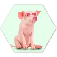 MuchoWow Hexagon wanddecoratie - Kunststof Wanddecoratie - Hexagon Schilderij - Varken - Roze - Bril - Stopcontact - Dieren - 37x32 cm