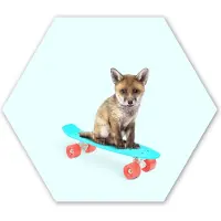 MuchoWow Hexagon wanddecoratie - Kunststof Wanddecoratie - Hexagon Schilderij - Vos - Dieren - Skateboard - Blauw - 120x103 cm