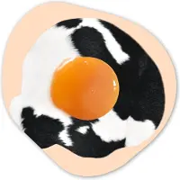 MuchoWow Organische wanddecoratie 90x90 cm - Organisch schilderij Ei - Eten - Koeienprint - Koe - Dieren - Muurdecoratie woonkamer - Kamer decoratie - Schilderijen - Muurcirkel aesthetic