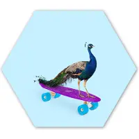 MuchoWow Hexagon wanddecoratie - Kunststof Wanddecoratie - Hexagon Schilderij - Pauw - Blauw - Skateboard - Dieren - Grappig - 120x103 cm