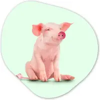 MuchoWow Organische wanddecoratie 60x60 cm - Organisch schilderij Varken - Roze - Stopcontact - Dieren - Muurdecoratie woonkamer - Kamer decoratie - Schilderijen - Muurcirkel aesthetic