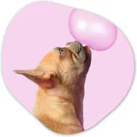 MuchoWow Organische wanddecoratie 60x60 cm - Organisch schilderij Hond - Dieren - Kauwgom - Roze - Muurdecoratie woonkamer - Kamer decoratie - Schilderijen - Muurcirkel aesthetic
