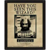 Pyramid Harry Potter Potter Sirius 3D Lenticular Poster 28,7 x 23,5cm