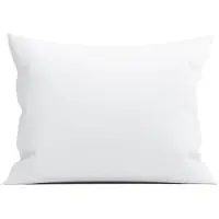 Papillon slopen - percale - set van 2 - 60 x 70 - Wit